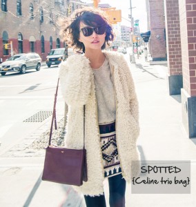 Read more about the article Celine Trio Bag